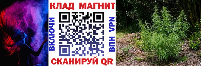 Купить наркотики цена Канаш ГАШИШ Амфетамин APVP Меф мяу мяу Конопля