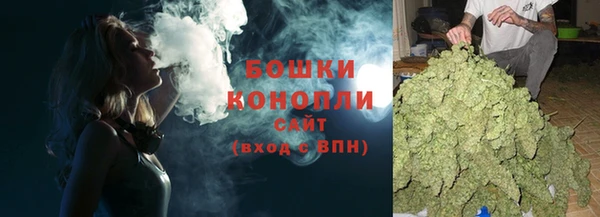гашик Богородицк
