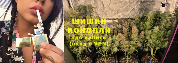 сатива Богданович